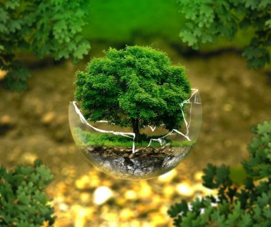 environmental-protection-gef25113e1_1920